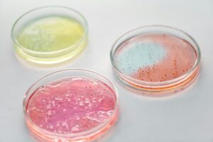 Listeria monocytogenes, nuovi criteri di sicurezza alimentare